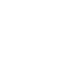 premio-icon