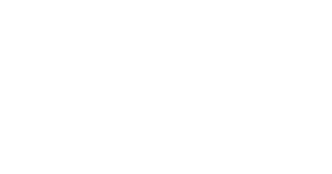 csm_reference_ceva-logistics_logo_9b8206a993 (1)